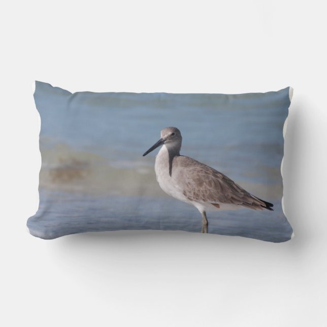Beach Plover Lumbar Pillow (Front)