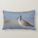 Beach Plover Lumbar Pillow