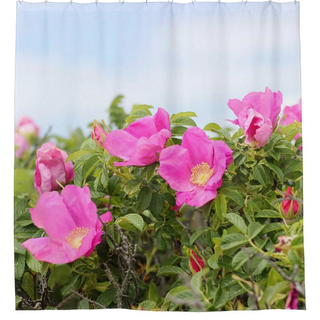 Beach Plum Roses Shower Curtain (Front)