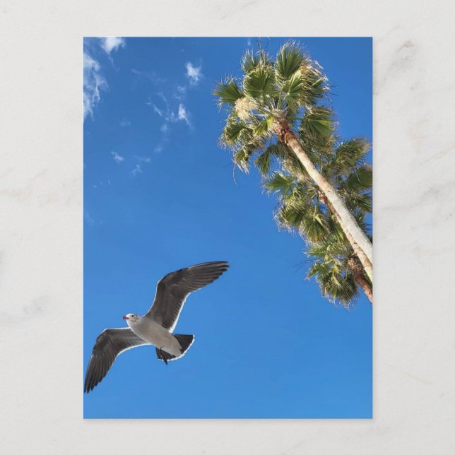 Beach Post Card (Front)