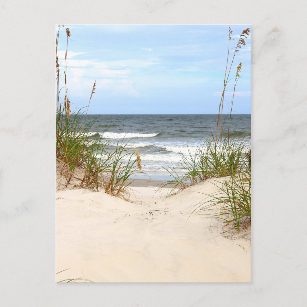 Beach Postcard | Zazzle