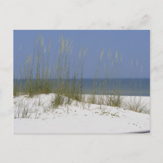 Beach Postcard