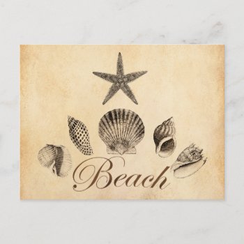 Beach Postcard by TimeEchoArt at Zazzle