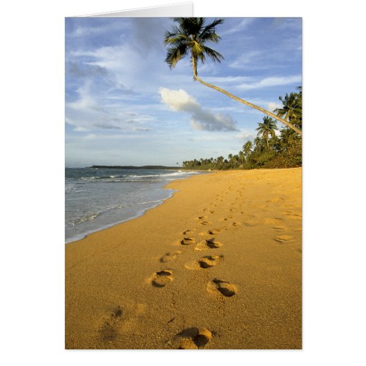 Beach Puerto Rico (Front)