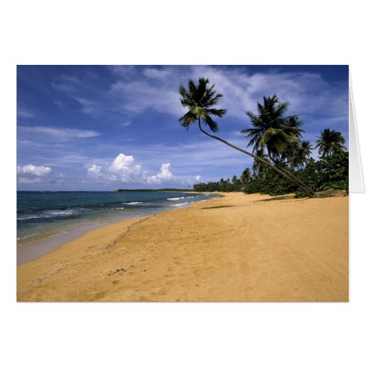 Beach Puerto Rico 2 Cards (Front Horizontal)