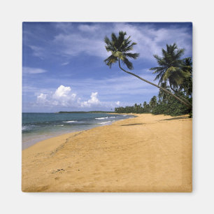Beach Puerto Rico 2 Magnet