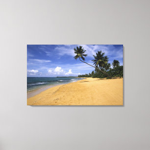 Beach Puerto Rico Canvas Print