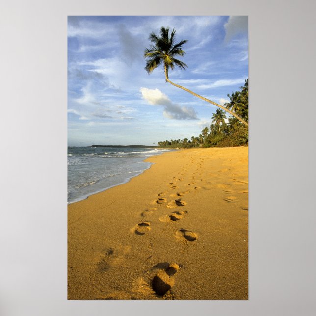 Beach Puerto Rico Poster (Front)