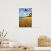 Beach Puerto Rico Poster | Zazzle