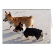 Beach Puppies (Front Horizontal)