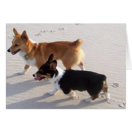 Beach Puppies Cards (Front Horizontal)