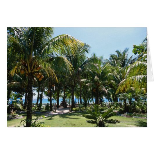 Beach resort cards (Front Horizontal)
