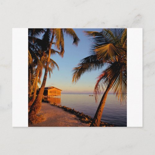 Beach Roatan Honduras Postcard
