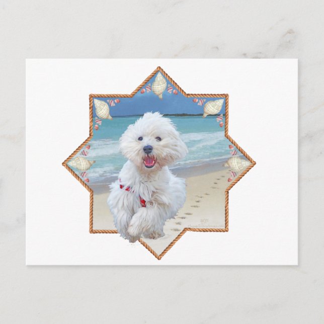 Beach Run Postcard (Front)