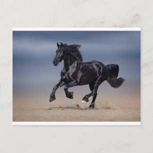 Beach running postcard