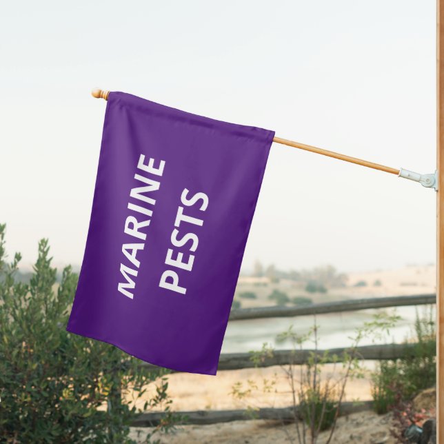 Beach Safety Flag - Marine Pests - Purple (Insitu (Back))