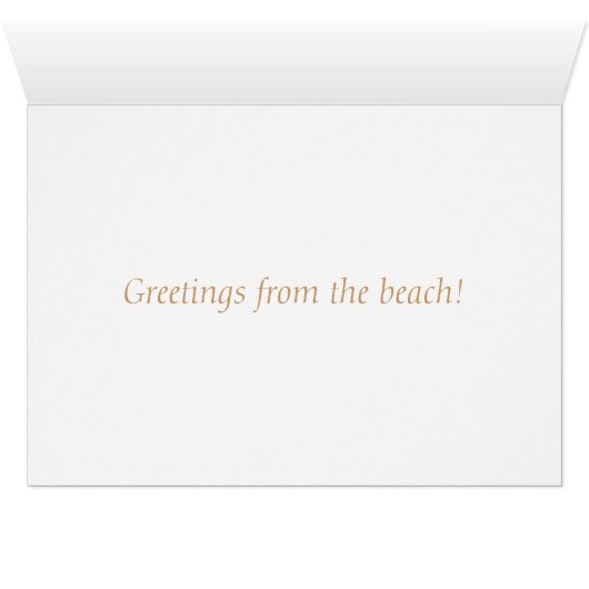 Beach sand (Inside Horizontal (Bottom))