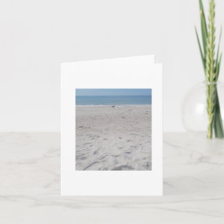 Beach Sand Piper, Blank Card personalization
