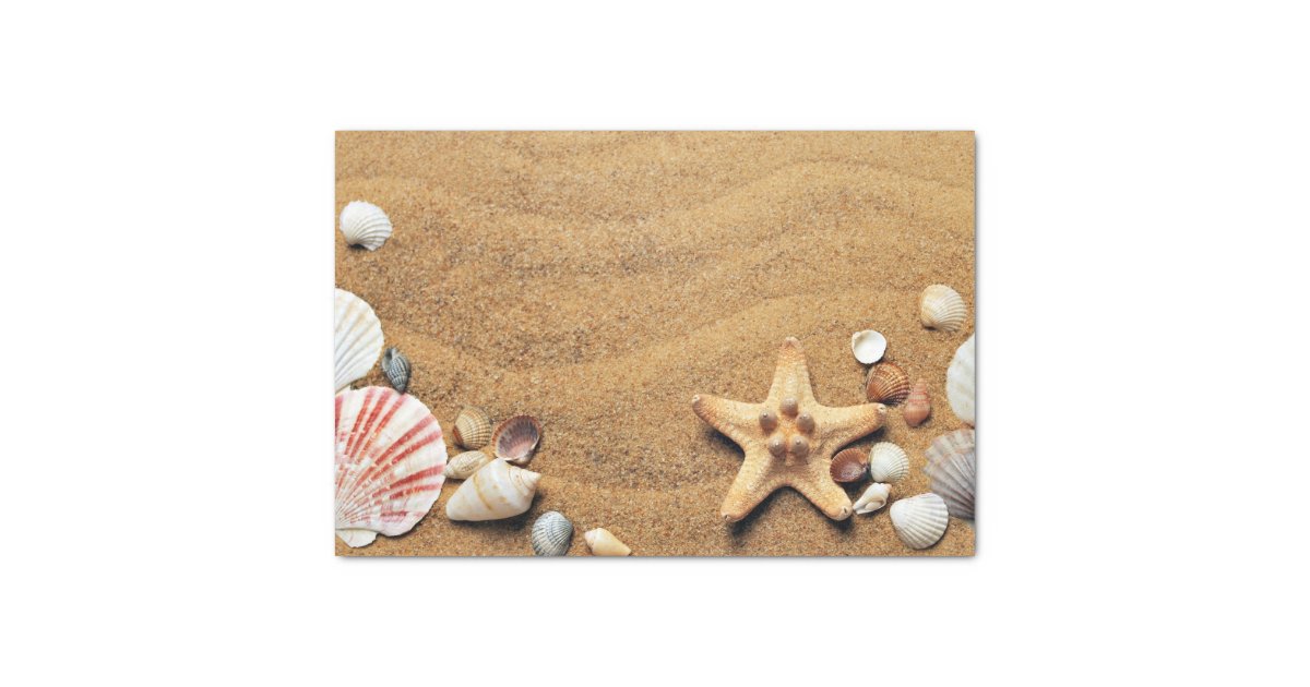 Beach Sand Shells Tissue Paper | Zazzle