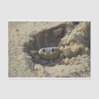 Beach Sandy Crab Decoupage Tissue Paper