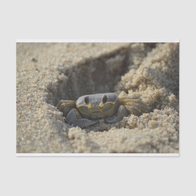 Beach Sandy Crab Decoupage Tissue Paper (Front)