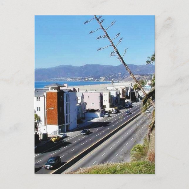 Beach Santa Monica Ocean Postcard (Front)