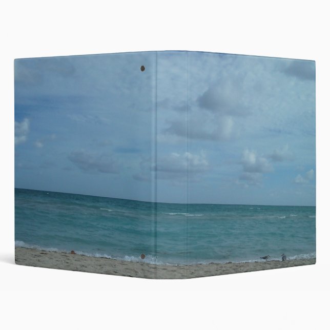 BEACH SCENE BINDER (Background)