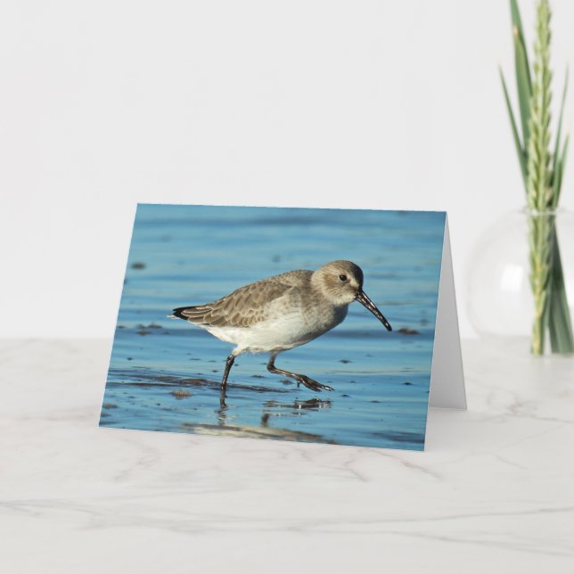 Beach Scene - Dunlin Letterpress Thank You Card (Front)