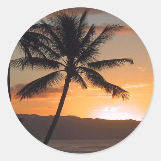 beach scene palm trees classic round sticker (Front)