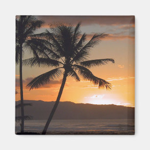 beach scene palm trees magnet
