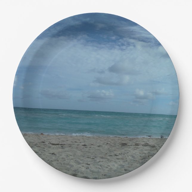 BEACH SCENE PAPER PLATES (Front)