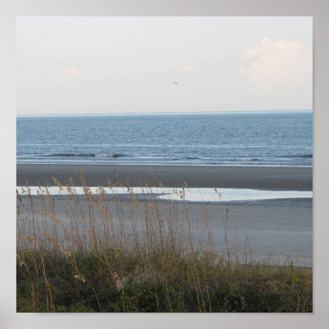 Beach Scene Poster (Front)