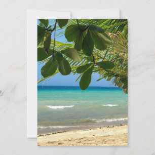 Beach scenery. Philippines. Moalboal. White beach. Invitation