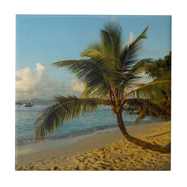 Beach scenic tile (Front)