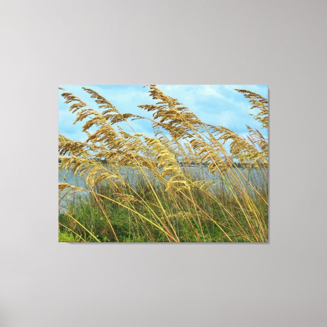 Beach Sea Oats Canvas Print (Front)