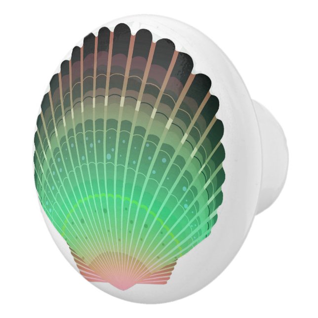 Beach Sea Shell Drawer Knobs - SRF (Right)