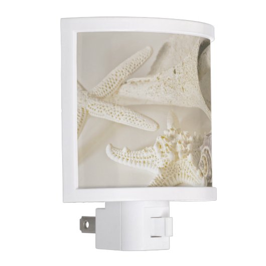 Beach Sea Shells Night Light (Right)