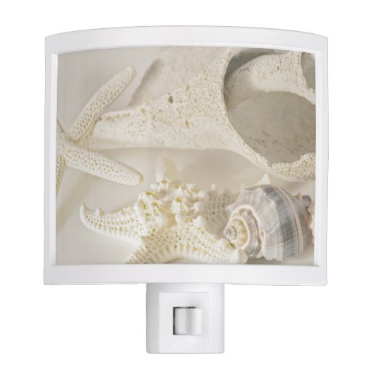 Beach Sea Shells Night Light (Front)