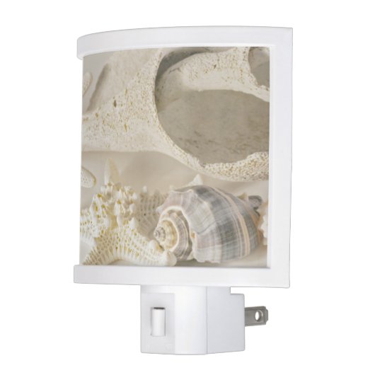 Beach Sea Shells Night Light (Left)