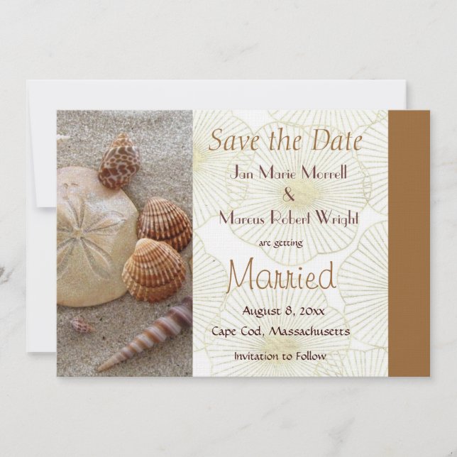 Beach Sea Shells Save the Date Card (Front)