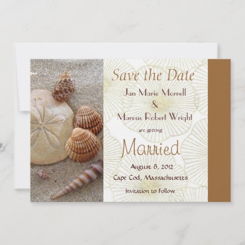 Beach Sea Shells Wedding Save the Date Card