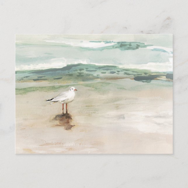 Beach Seagull Cove Postcard (Front)
