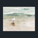 Beach Seagull Cove Postcard<br><div class="desc">Seagull Cove I by Victoria Borges. Features a soft image of a seagull near the beach shore.</div>
