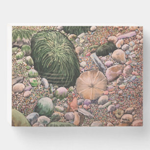  Beach Seascape Brown/green Wooden Box Sign