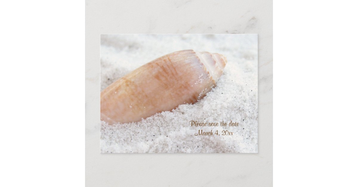 Beach Seashell Save the Date Wedding Postcard | Zazzle