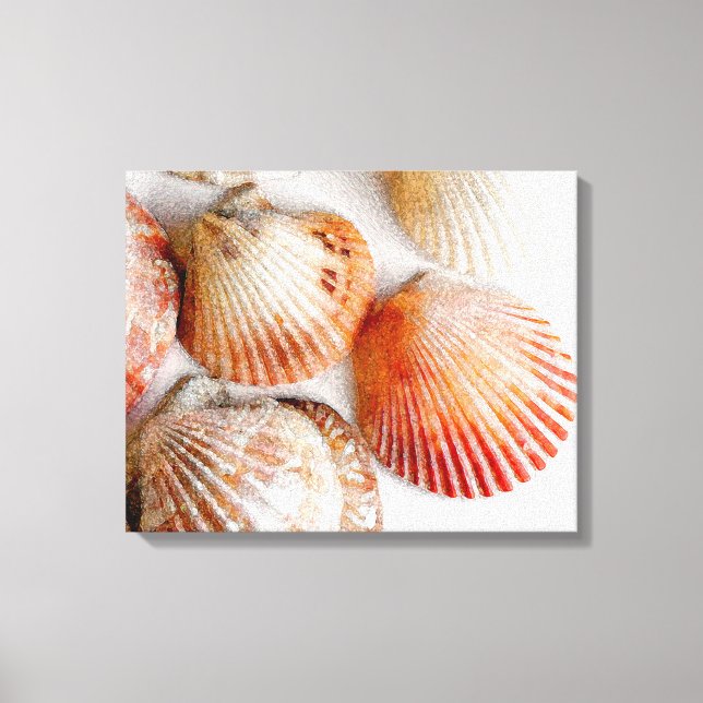 Beach Seashells Art Canvas Print (Front)