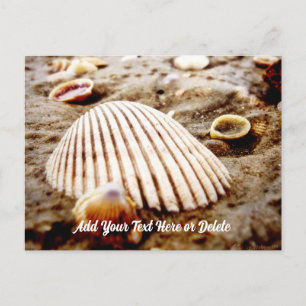 Beach Seashells at Krabi Thailand, Postcard
