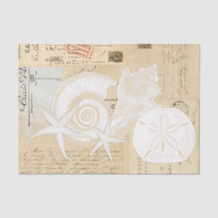 Beach Seashells Cream French Postcard Tissue Paper