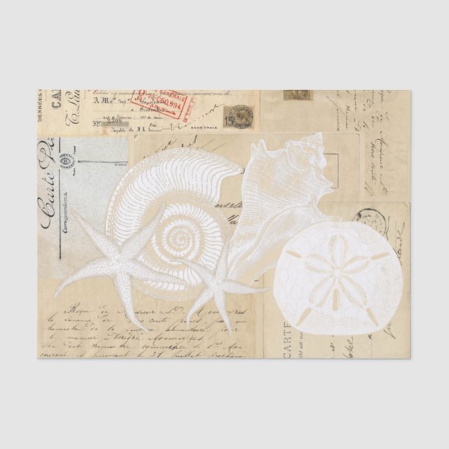 Beach Seashells Cream French Postcard Tissue Paper (Front)