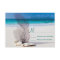 Beach Seashells Sand Destination Wedding RSVP